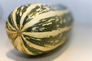 farmers market vegetables - marrow