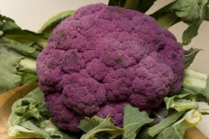 farmers market vegetables - purple cauliflower