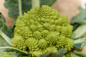 farmers market vegetables - romanesco