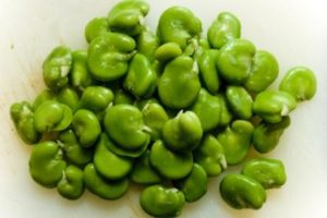 Skinned Broad Beans