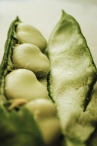 Broad Beans in the pod
