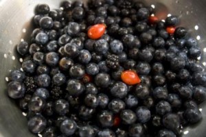 sloes, rosehips and blackberries for hedgerow gin