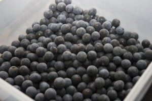 sloes after freezing