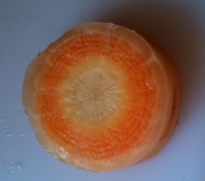 different colours inside homegrown carrots