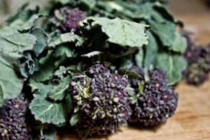 Local purple sprouting broccoli