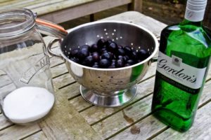 Damson Gin - ingredients