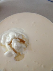 elderflower yoghurt ice cream