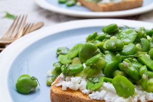 broad beans and goat's cheese on toast