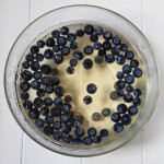 elderflower and blueberry jelly