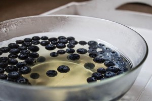 elderflower and blueberry jelly close up