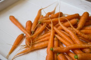 spring carrots