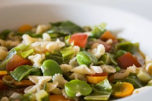 close up summer veg minestrone