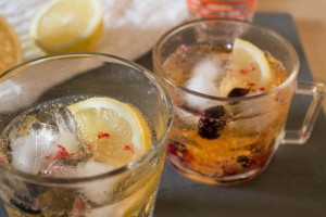 Elderflower, Lemon and Blackcurrant Gin and Tonic