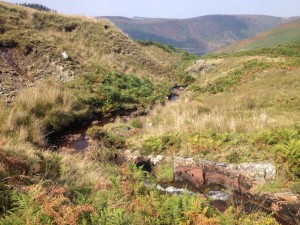 Wild Wales – A Hiking Adventure