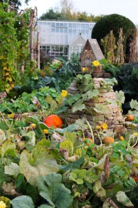 Walking around Le Manoir vegetable patch