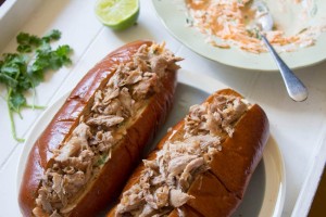 pulled pork ribs with carrot and ginger slaw