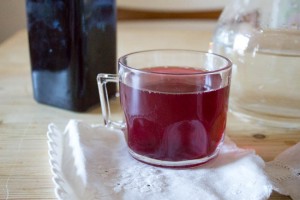 Frozen Blackcurrant Cordial 