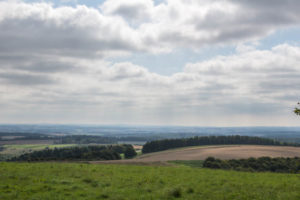 An Adventure Just Outside the Back Door - Wayferers WAlk