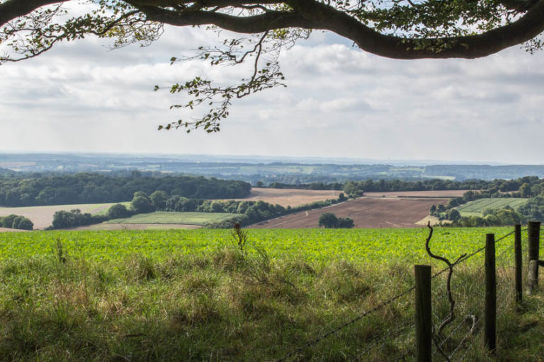 An Adventure Right on Your Doorstep - All That I'm Eating