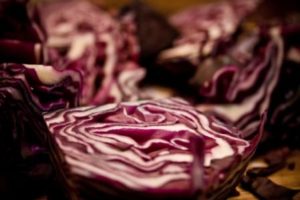 Purple cabbage