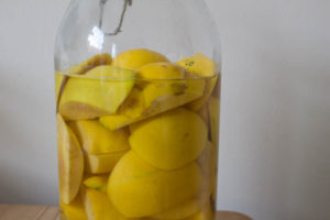 Making Quince Gin