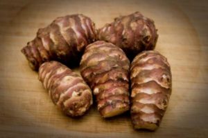 jerusalem artichokes