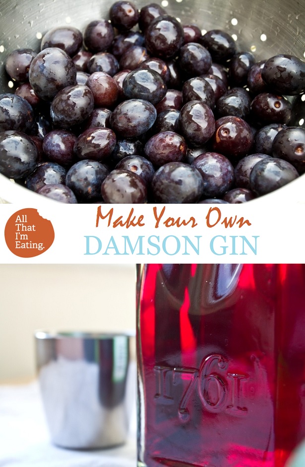 Make Your Own Damson Gin - All That I'm Eating