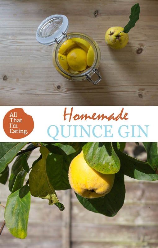 Homemade Quince Gin