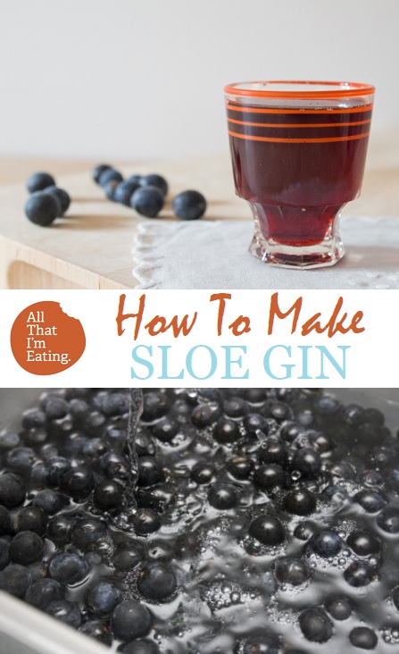 How To Make Sloe Gin